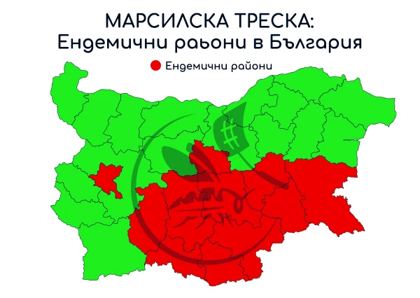 Карта на България с ендемични райони за марсилска треска - Гадинки