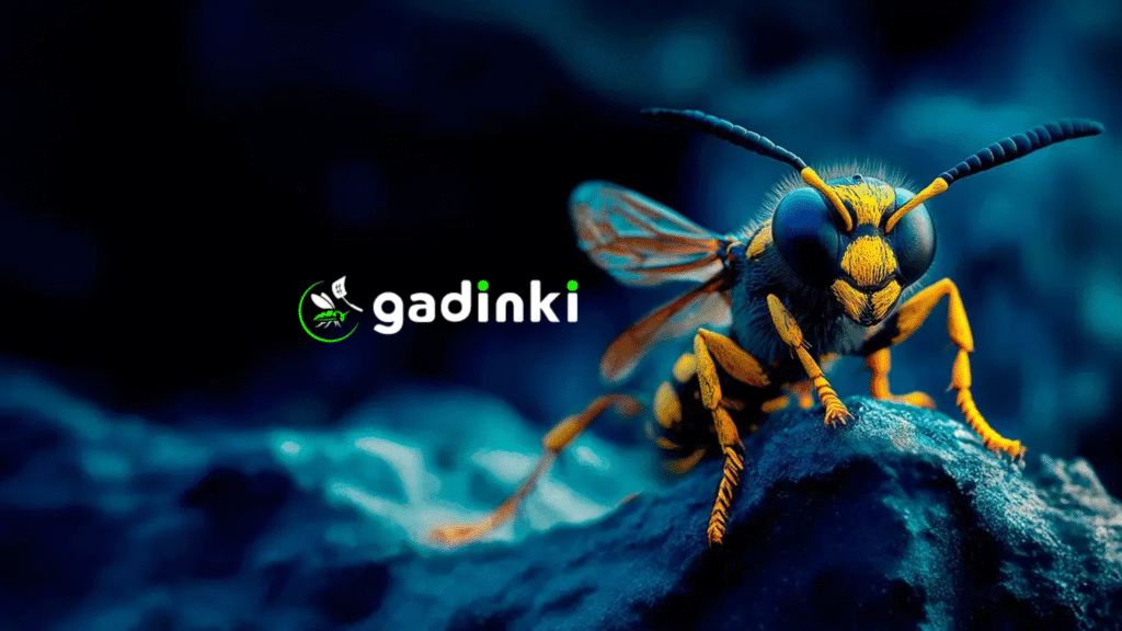 gadinki